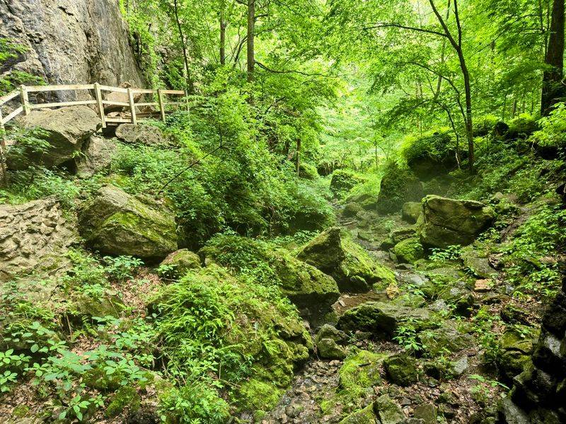Maquoketa Caves State Park - Maquoketa