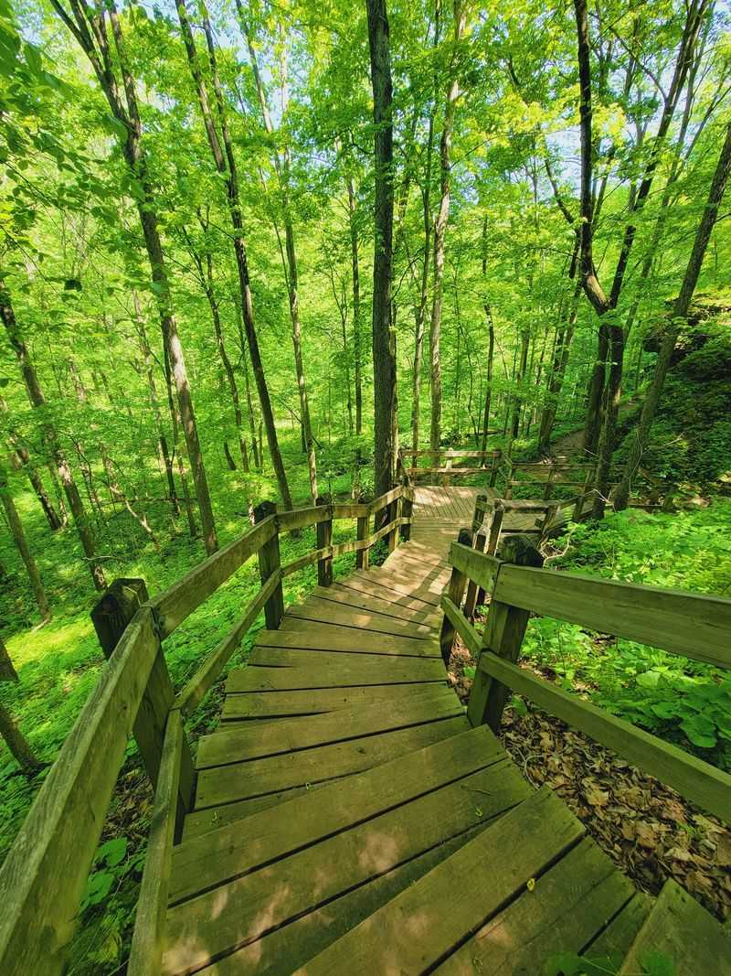 Maquoketa Caves State Park Trail System