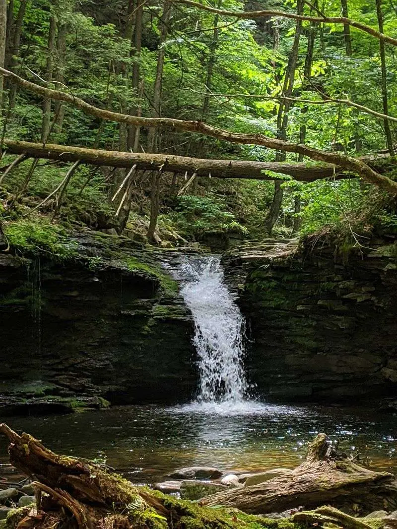 Worlds End State Park - Forksville