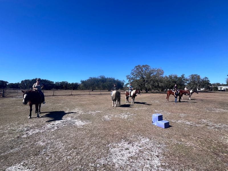 Myakka River Trail Rides - Myakka City
