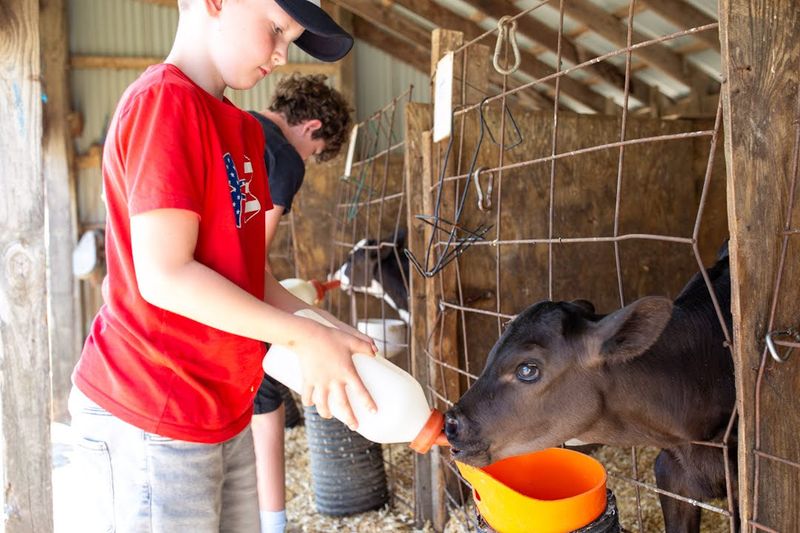 Hansen's Farm Fresh Dairy – Hudson