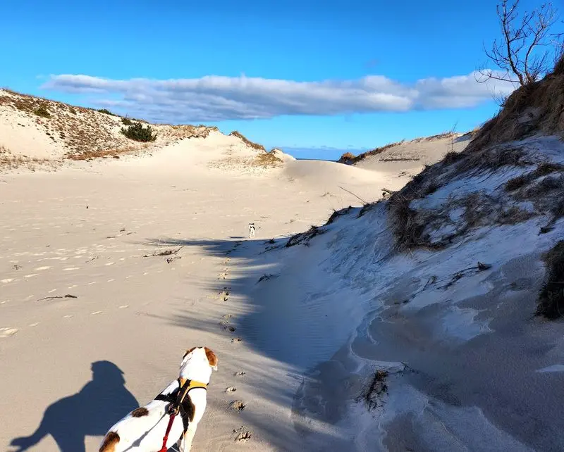 Seaside Nature Trail