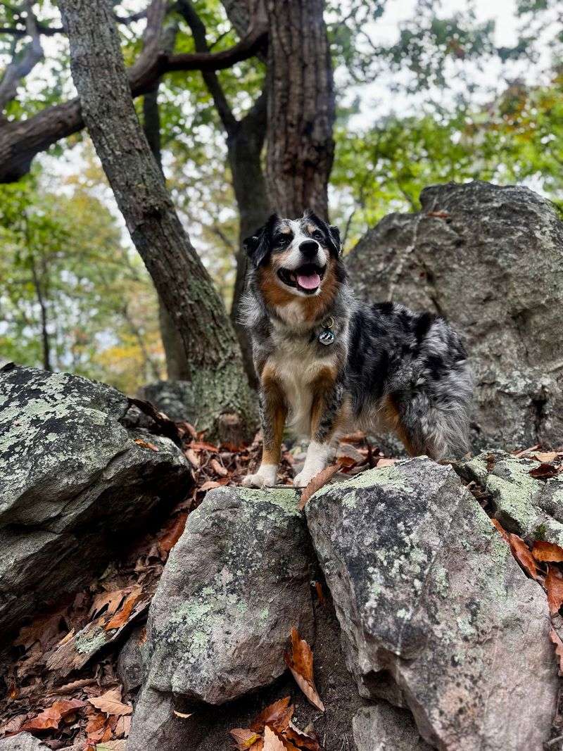 Raven Rocks, Bluemont, Loudoun County