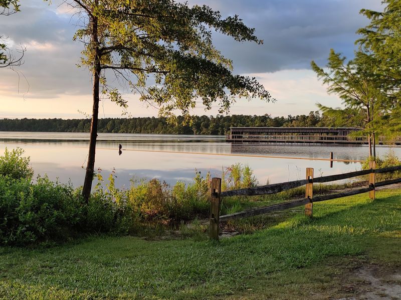 Jones Lake State Park, Elizabethtown, Bladen County