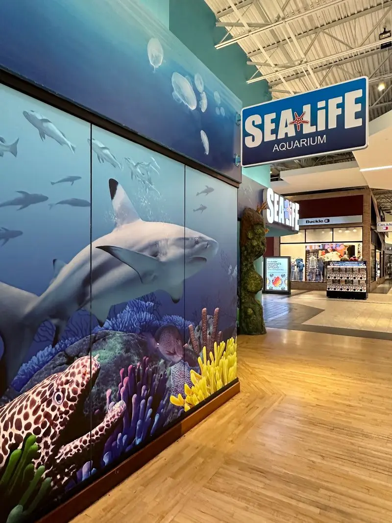 Easy Indoor Outing Near The Mall