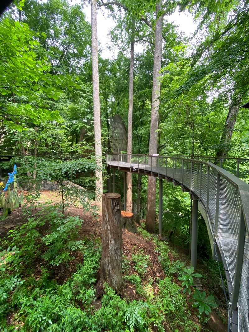 Fernbank Forest, Atlanta, DeKalb County