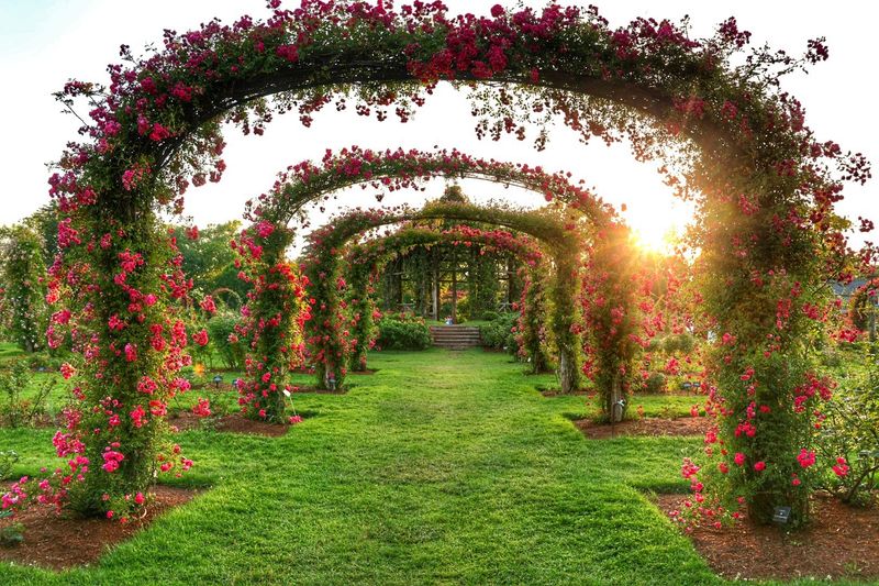 Arches, Paths, and the Gazebo
