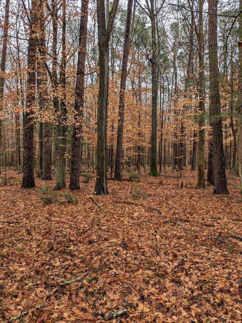 Why Every Season Offers a Different Experience