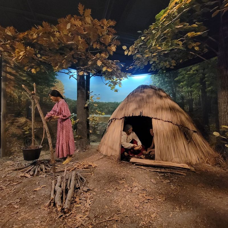University of Iowa Museum of Natural History