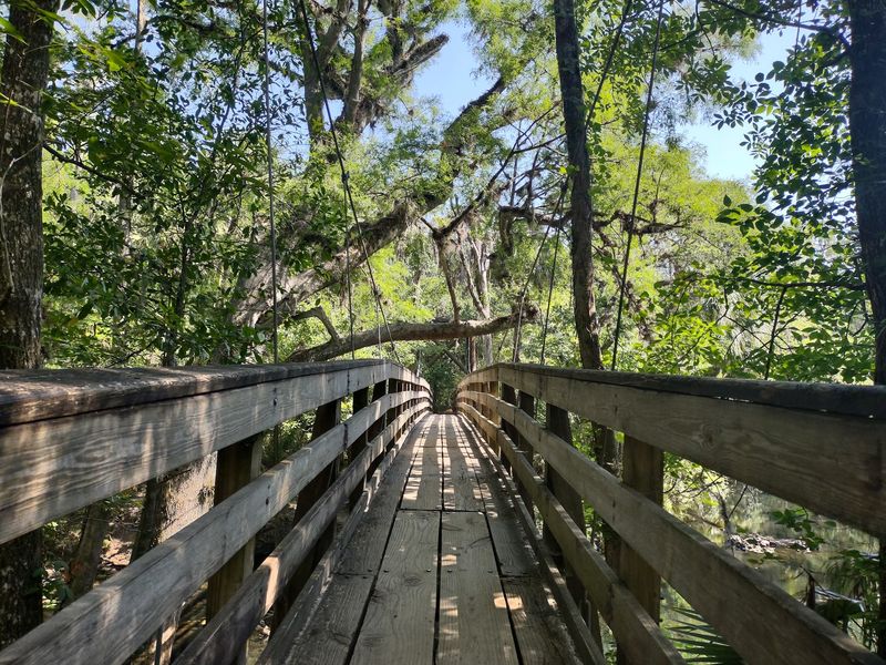 Hillsborough River State Park cabins - Thonotosassa, Hillsborough County,