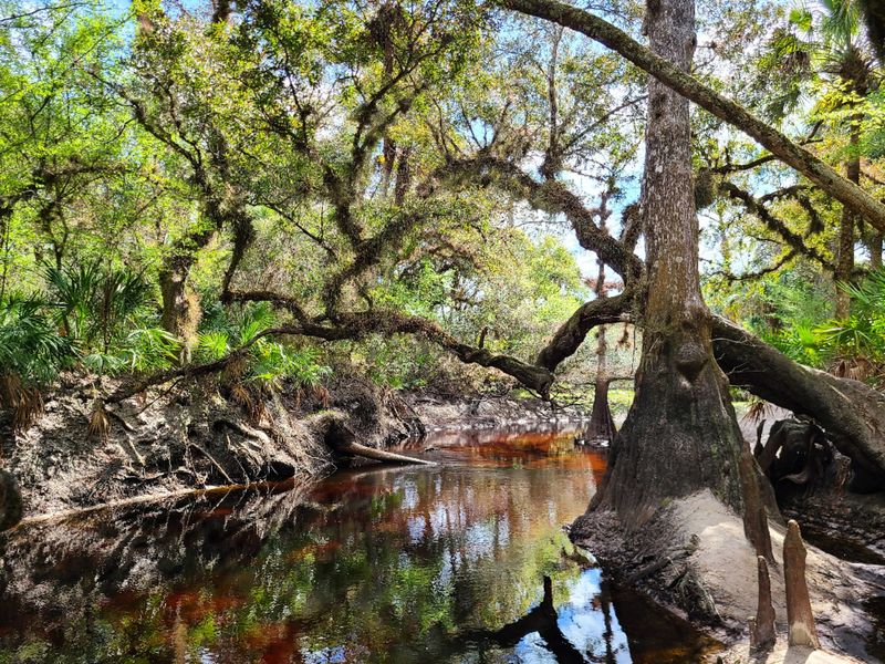 Econ River Wilderness Area - Oviedo