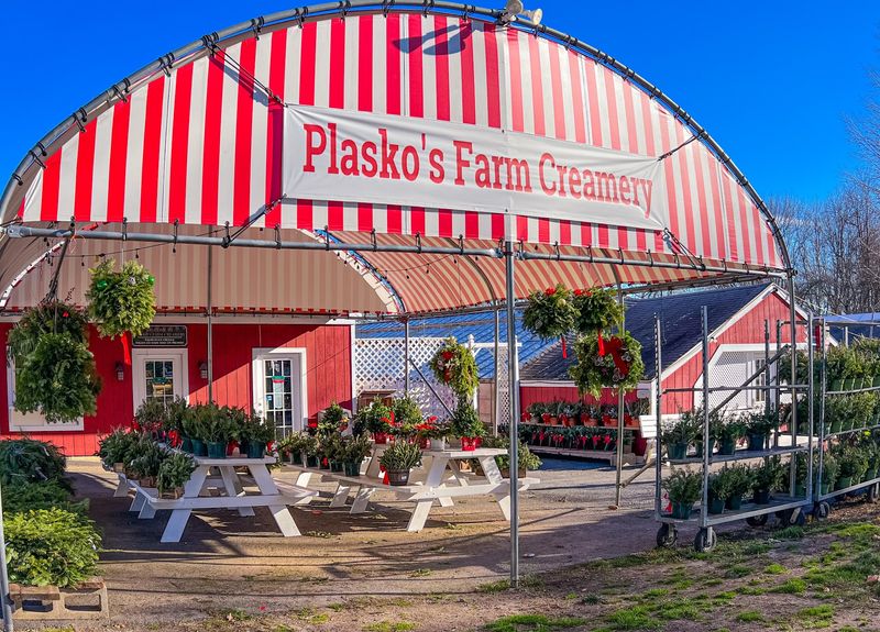 Countryside Comfort at Plasko’s Farm Creamery and Cafe
