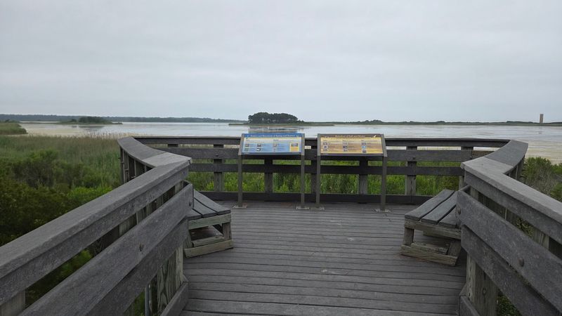 Gordons Pond Observation Deck - Lewes