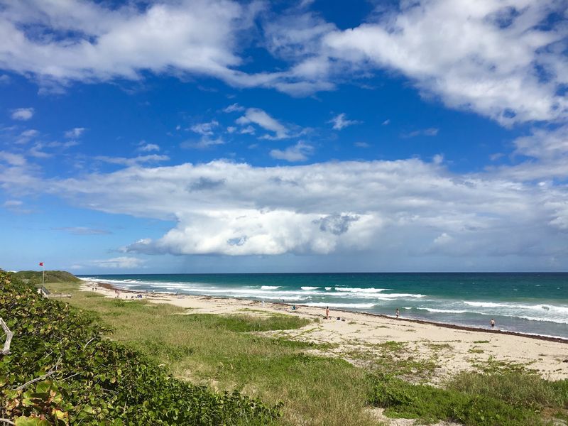 John D. MacArthur Beach State Park &ndash; North Palm Beach