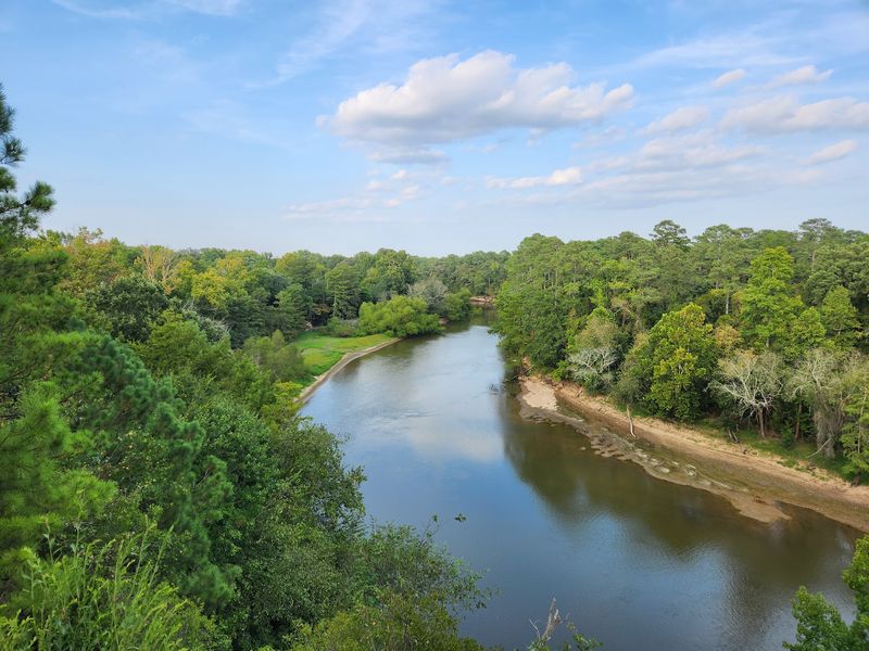 Unexpected cliffs at Cliffs of the Neuse State Park