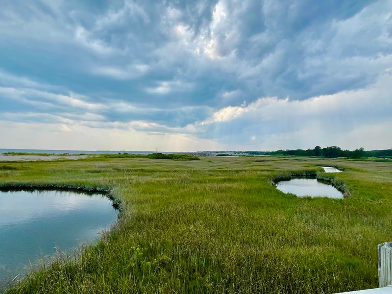 Silver Sands State Park, Milford