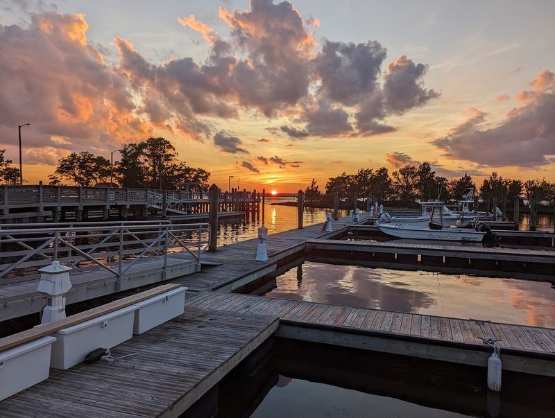 Sand, Pines, and Salty Air - Carolina Beach State Park in Carolina Beach, New Hanover County