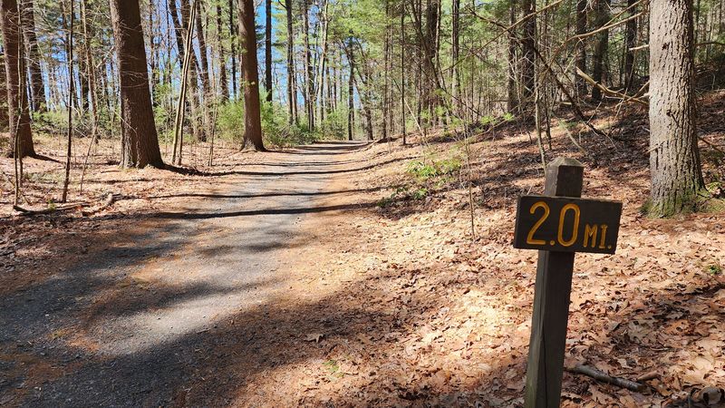 Beaver Ponds and Forest Trails at Sessions Woods
