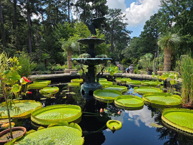 Slow Wandering in Duke Gardens