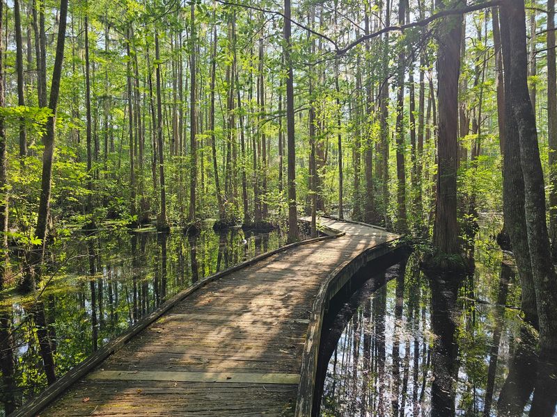 The Mill Pond Nature Trail Deserves Your Time Too