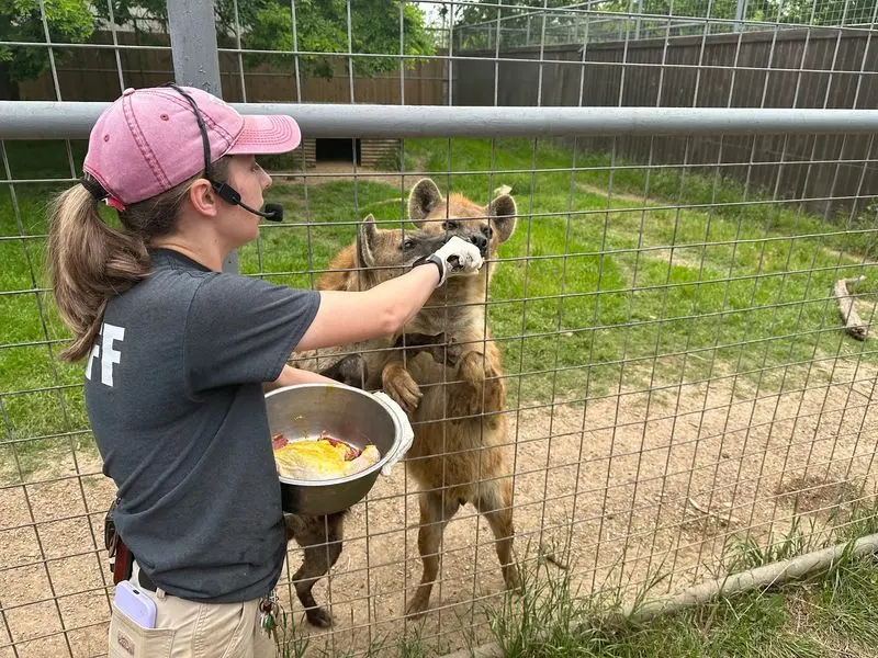 Animal World & Snake Farm Zoo - New Braunfels
