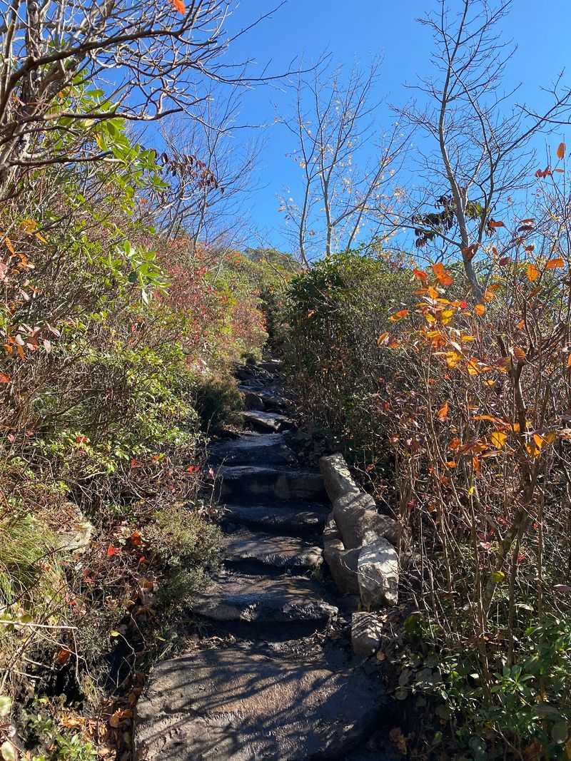 Rough Ridge Trail, Banner Elk