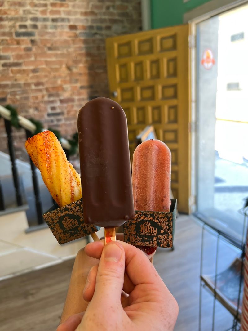The Hyppo Gourmet Ice Pops