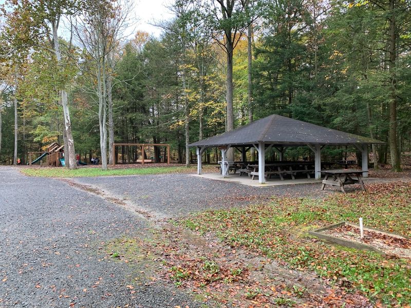 Picnic Pavilions Where Families Gather