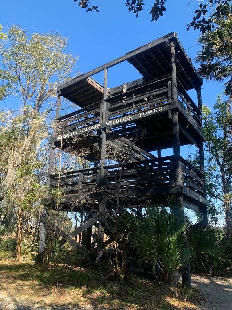 Wildlife Observation Tower