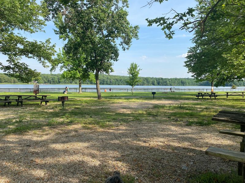 Gifford Pinchot State Park - Lewisberry
