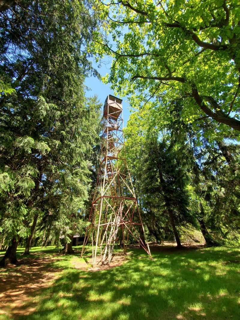 Little Flat Fire Tower