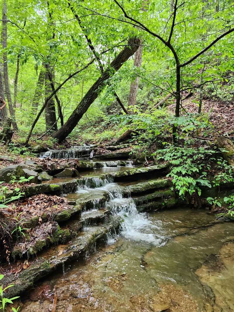 Stony Run Falls - Clifton Forge