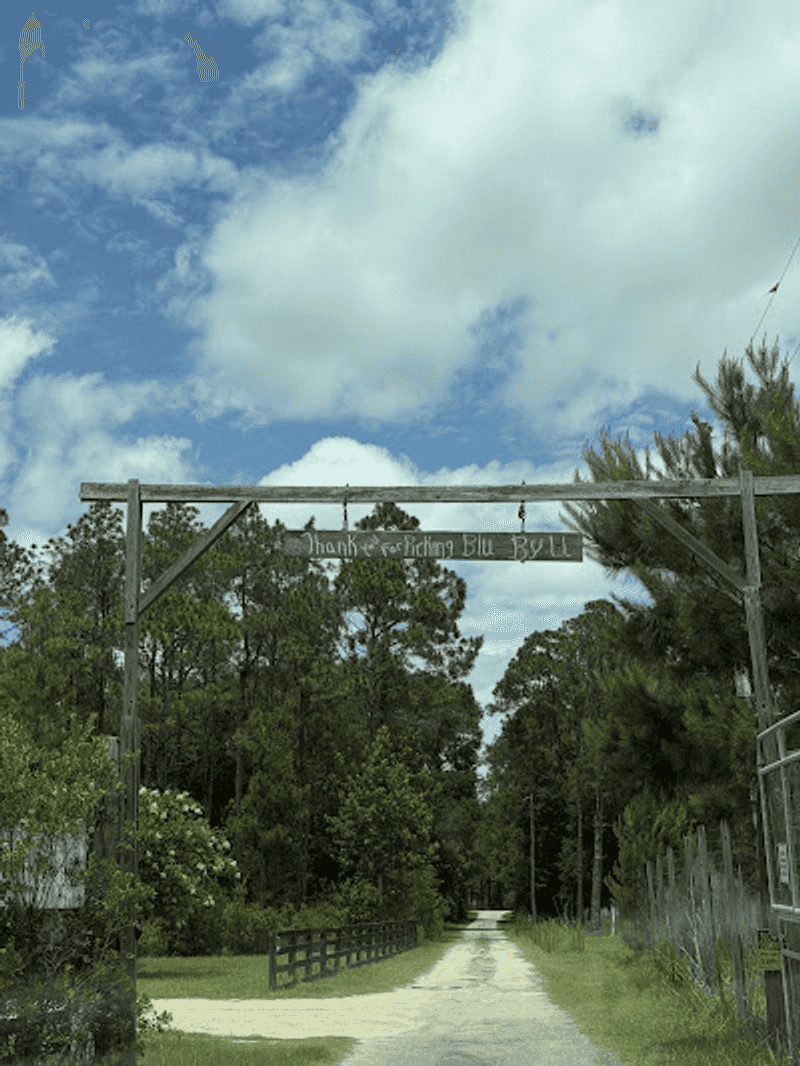 Tom's Trail and Disc Golf