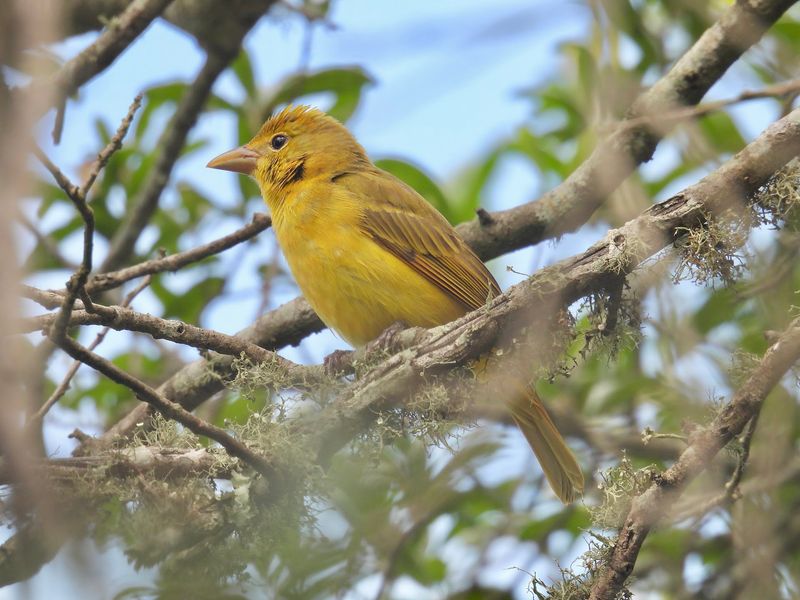Dos Vacas Muertas Bird Sanctuary