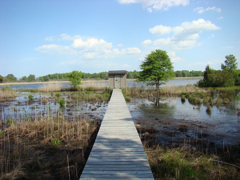 Prime Hook National Wildlife Refuge - Milton