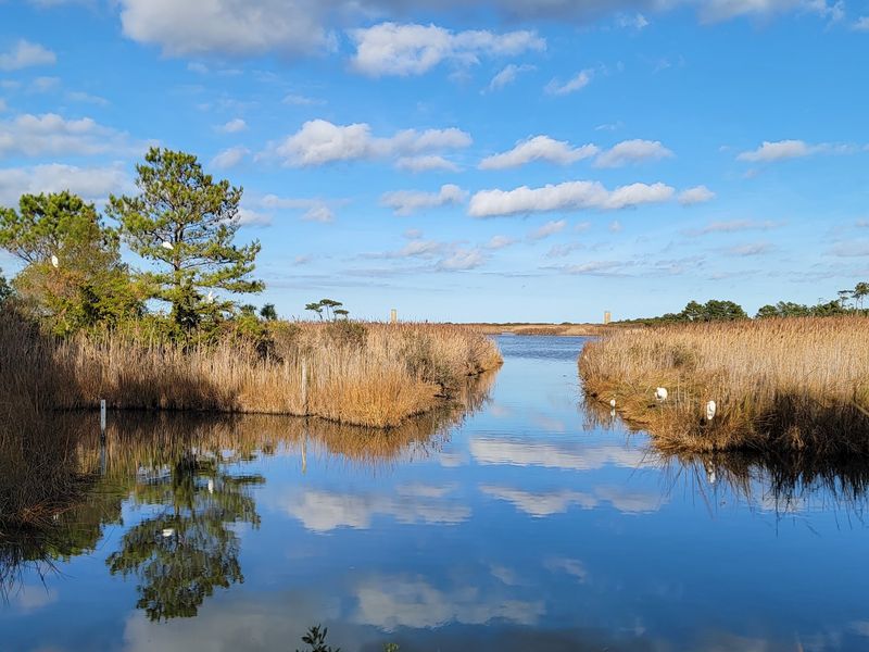 Cape Henlopen State Park, Lewes, Sussex County