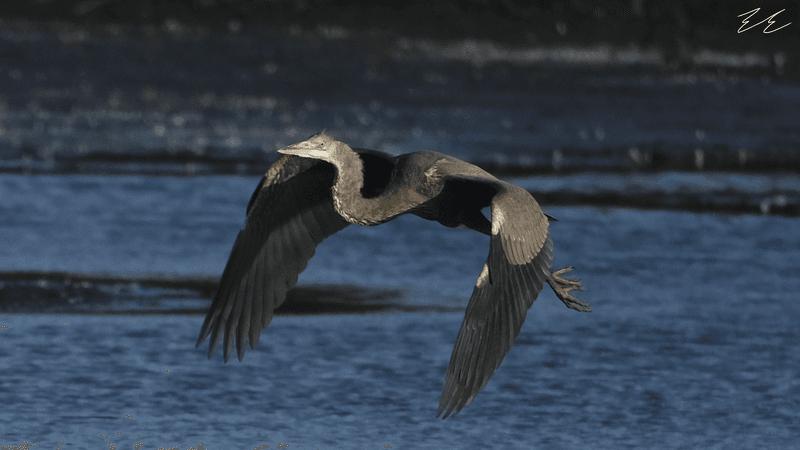 Prime Hook National Wildlife Refuge