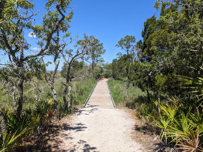 Maritime Forest Trails Add A Prehistoric Twist