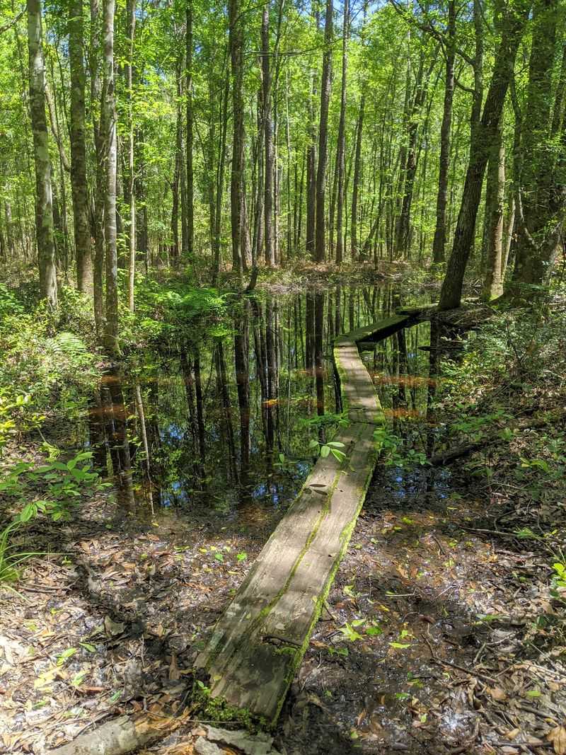 Palmetto Trail Lake Moultrie Passage, Bonneau, Berkeley County