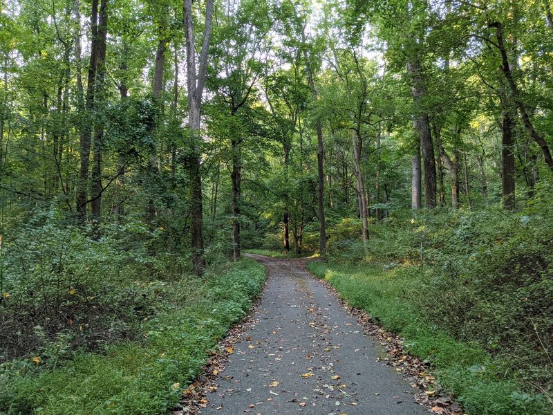 White Clay Creek State Park - Newark
