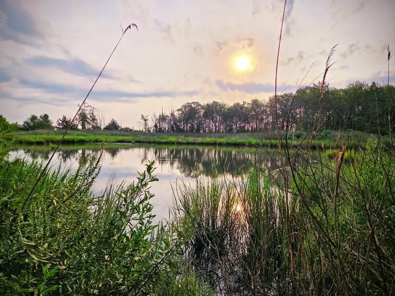 Bombay Hook National Wildlife Refuge, Smyrna, Kent County