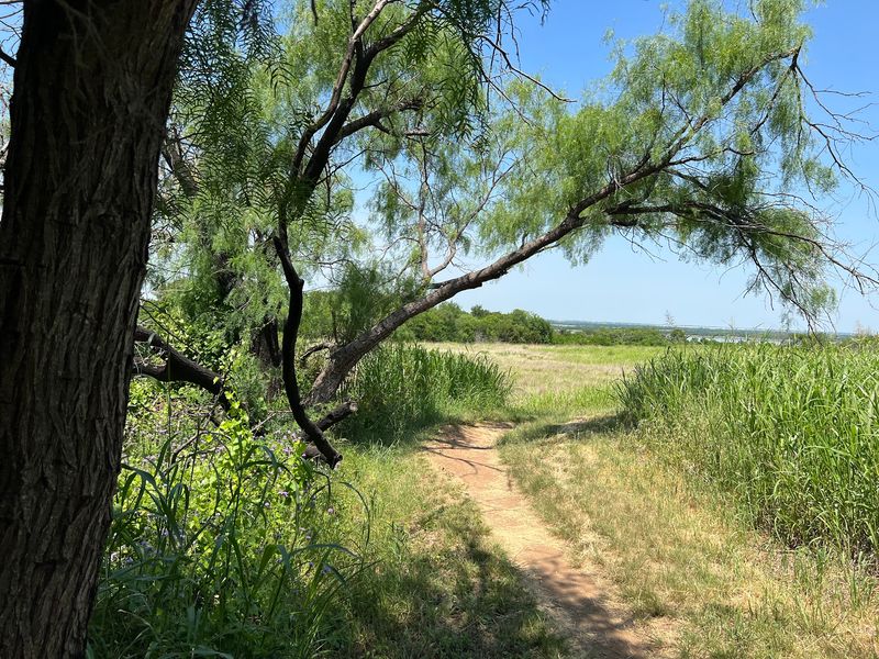 Cedar Hill State Park - Cedar Hill