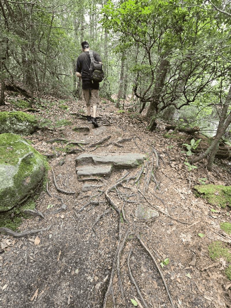 The Blue-Blazed Trail Network