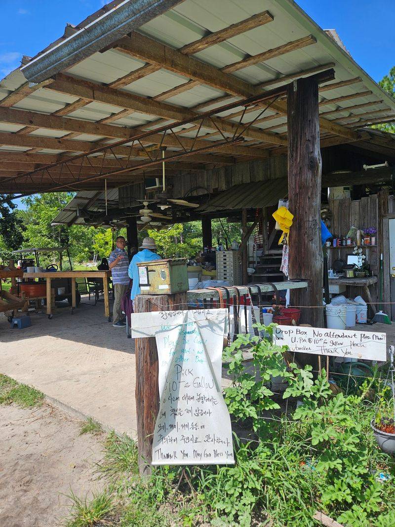 Enjoy Friendly Farm Hospitality