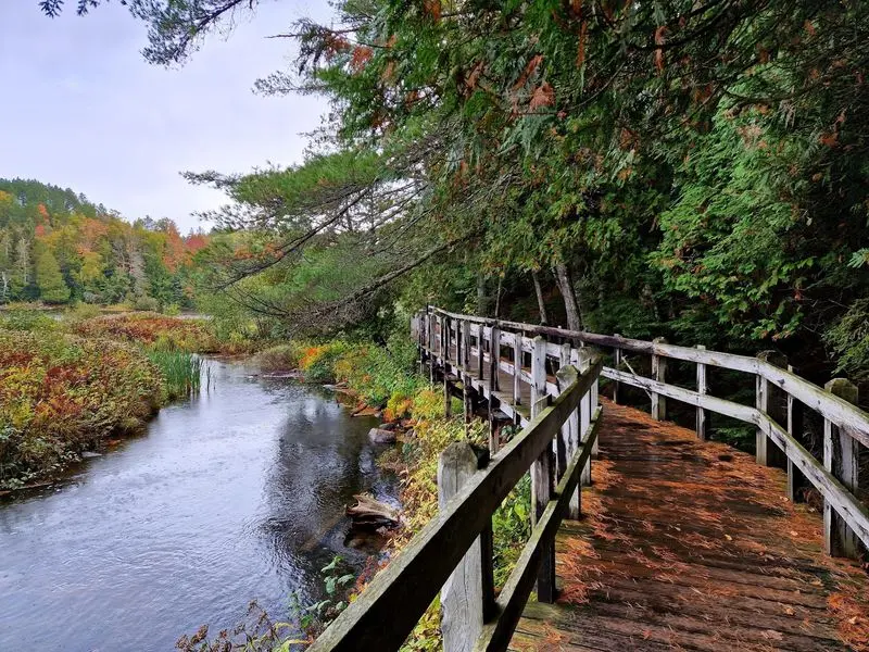 Tahquamenon Falls State Park, Paradise, Chippewa County