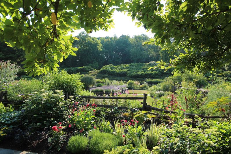 Cornell Botanic Gardens - Ithaca