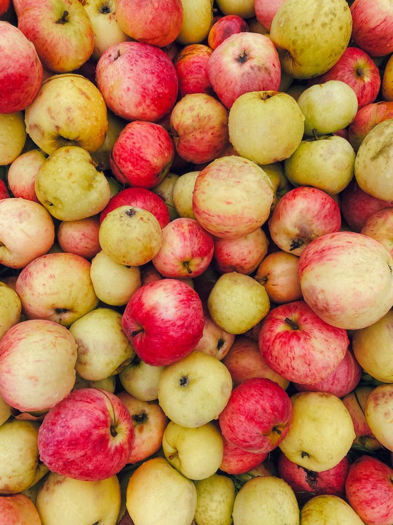 North Carolina Apple Festival (Hendersonville)