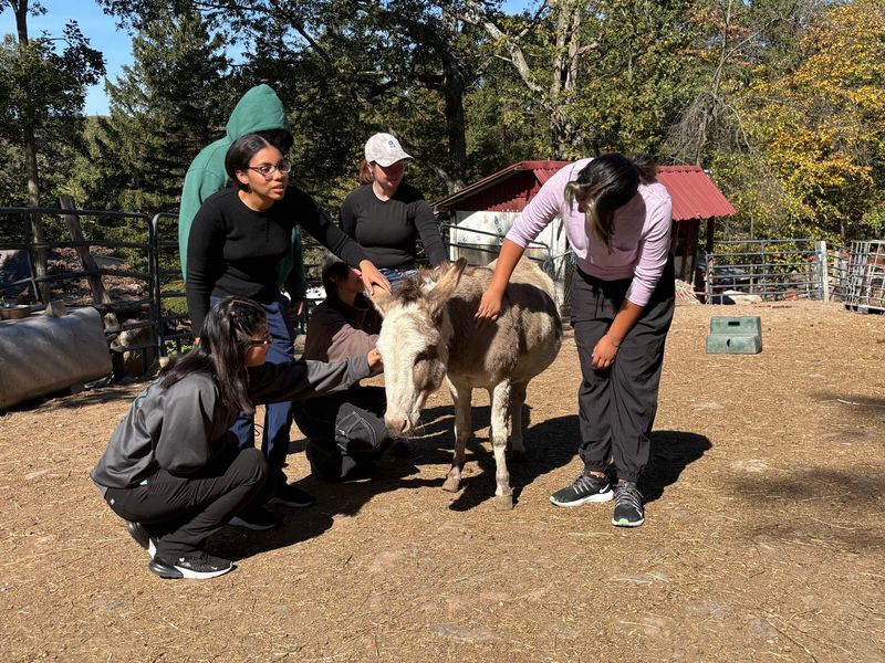 TevaLand Sanctuary Farm