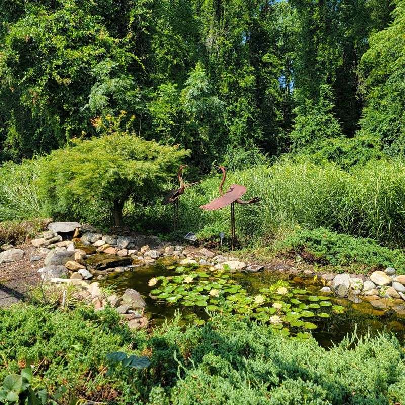 Wilson Botanical Gardens - Wilson