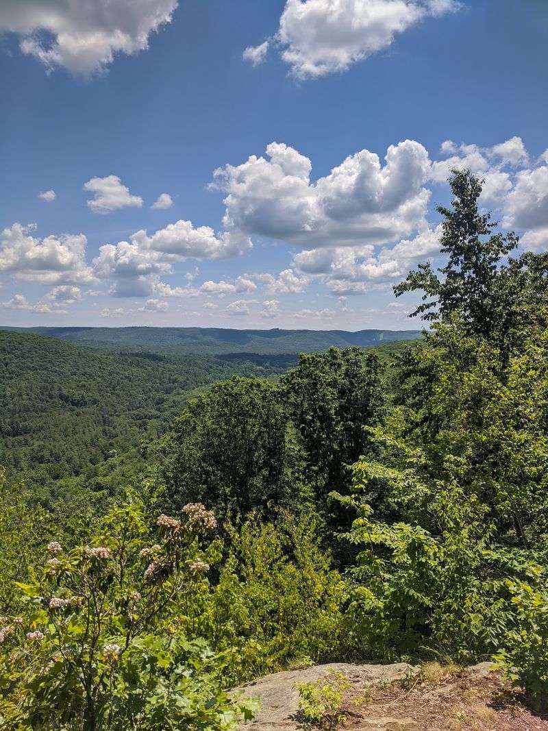 American Legion State Forest Cabins, Barkhamsted, Litchfield County